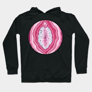 vulva mary Hoodie